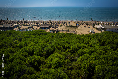 Aerial drone view of Spille beach in Albania with pine forest photo