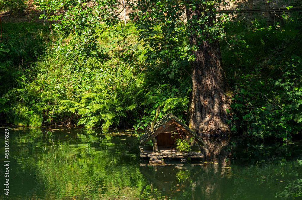 Tree Trunk And Bird House At A Brook Tree Trunk And Bird House At A Brook