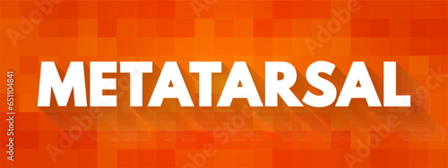 Metatarsal - group of five long bones in the foot, text concept background