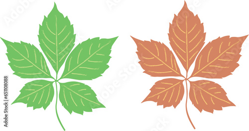 Vector illustration. Set of colorful leaves.