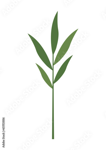 plant leaves 385