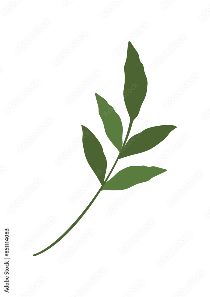 Fototapeta premium plant leaves 353