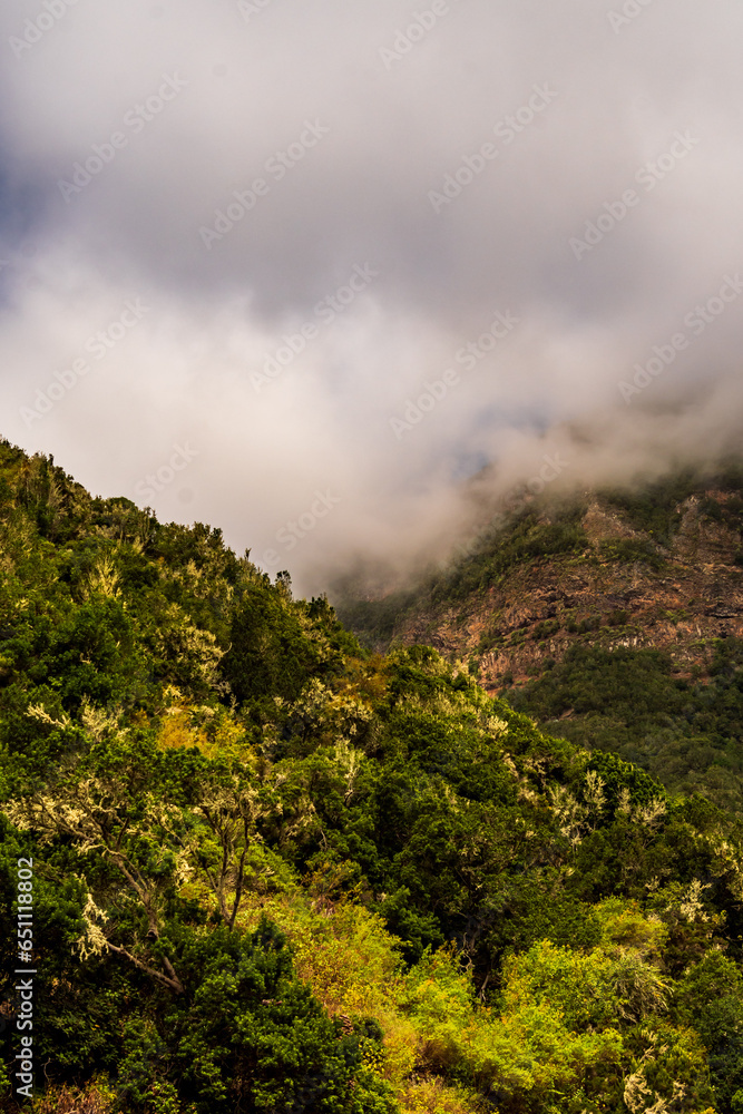 Paisaje en la Isla de la Gomera. Paisaje en la Isla de la Gomera.