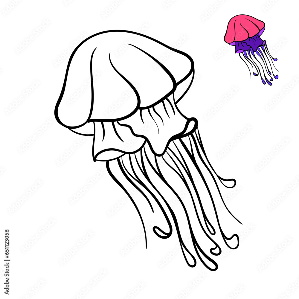 Children's coloring book with a picture of a jellyfish. Vector illustration, hand drawing Children's coloring book with a picture of a jellyfish. Vector illustration, hand drawing