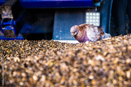 Unloading of the Ukrainian mirror for storage