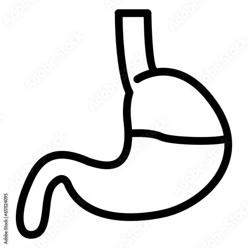 stomach