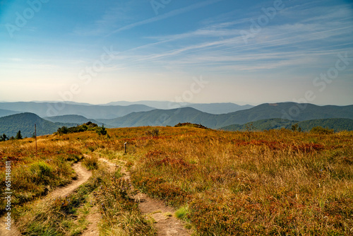 Fototapeta Naklejka Na Ścianę i Meble -  A mountain range in the Bieszczady Mountains in the area of Tarnica, Halicz and Rozsypaniec.