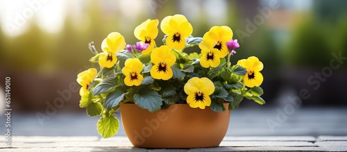 Outdoor home d cor with a yellow pansy centerpiece photo