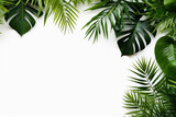green tropical palm leaf branches on white background. flat lay, top view