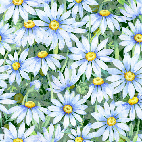 Watercolor daisies, Seamless pattern with watercolor camomile flowers and petals