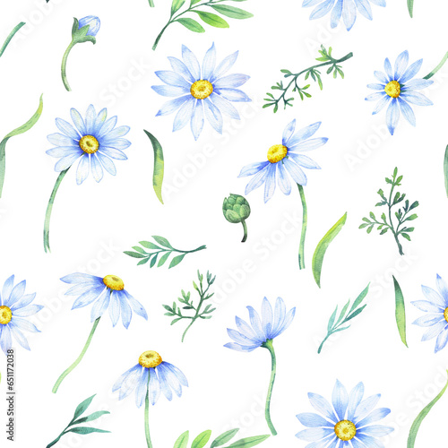 Watercolor daisies, Seamless pattern with watercolor camomile flowers and petals