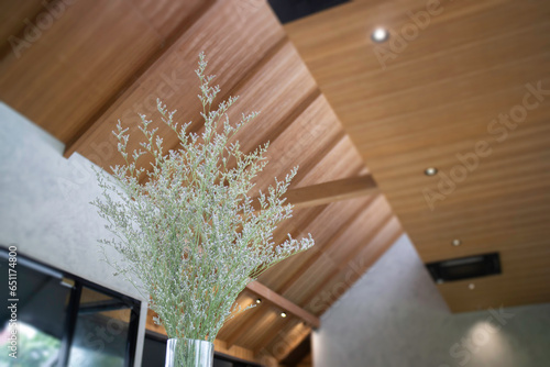 Ceilings in a cozy living room