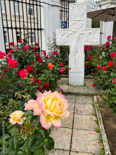 Beautiful roses in front of stone cross in a church yard