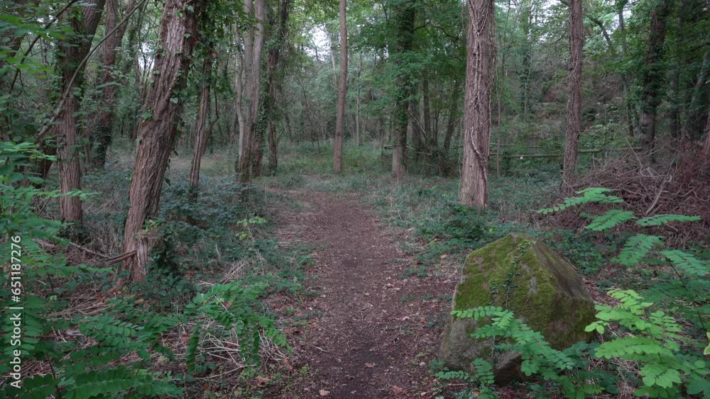 Un chemin dans un parc
