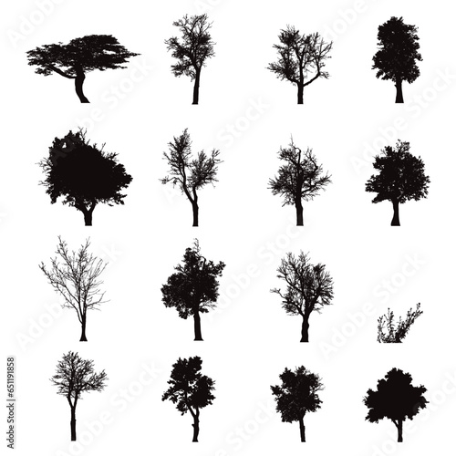 Set of vector silhouette of trees on white background. Symbol of season forest and nature.