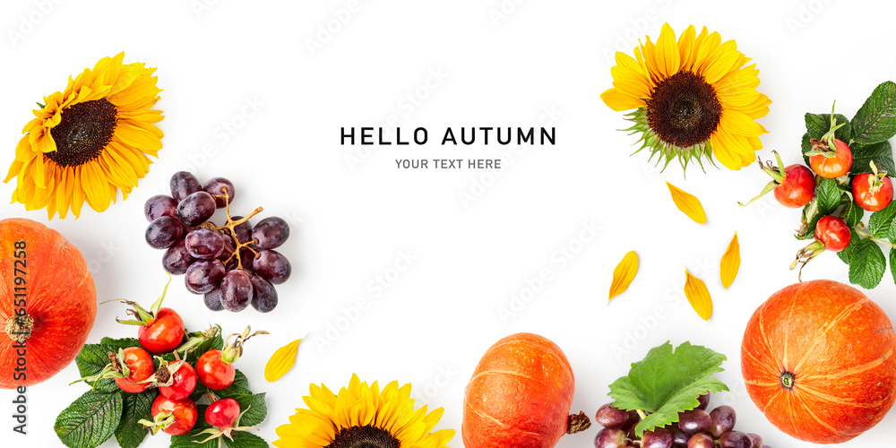 Sunflower, red grape, pumpkin and rose hip isolated on white background. - obrazy, fototapety, plakaty 