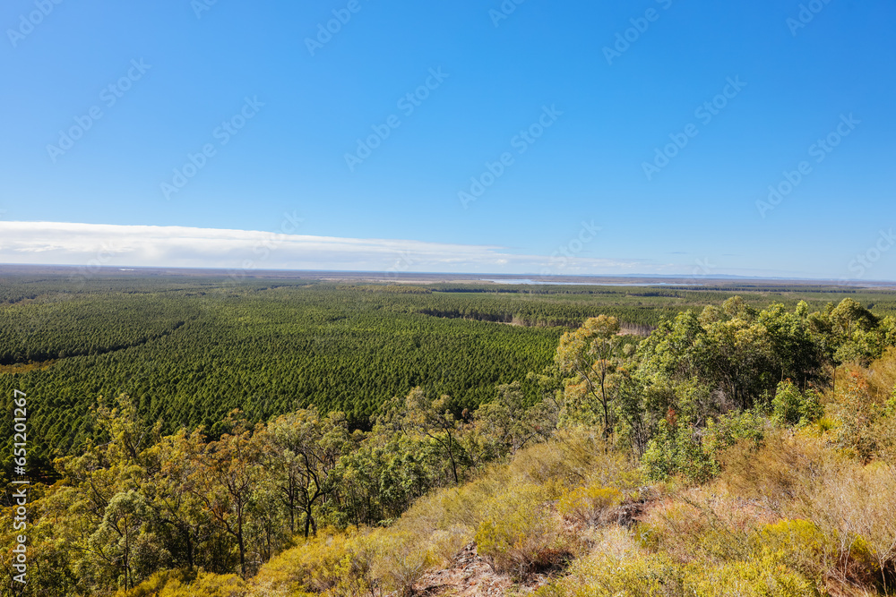 Fototapeta premium Glass House Mountains in Queensland Australia