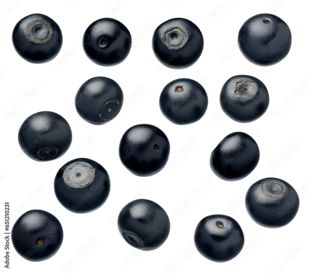 Blueberry berries isolated on white background. Blueberry berries isolated on white background.