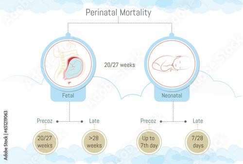 Perinatal mortality types and when it can occur.