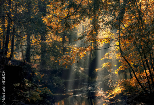 Canvas-taulu Dark autumn forest with a river and rays of light through tree branches
