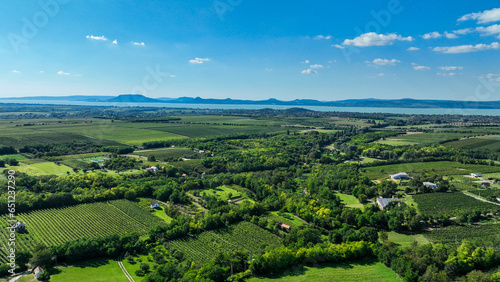 landscape with vineyard © kadarj1980