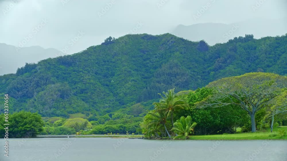 Tropical lake with mountains and bird flying in distance Tropical lake with mountains and bird flying in distance