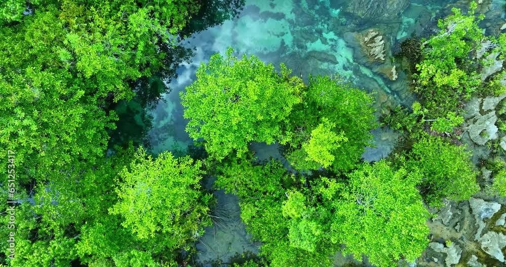 Aerial top view The water flows through a canal filled with lush, green trees as it flows through a canal..The water in the canal becomes fresh water and has a beautiful clear turquoise colour.. Aerial top view The water flows through a canal filled with lush, green trees as it flows through a canal..The water in the canal becomes fresh water and has a beautiful clear turquoise colour..