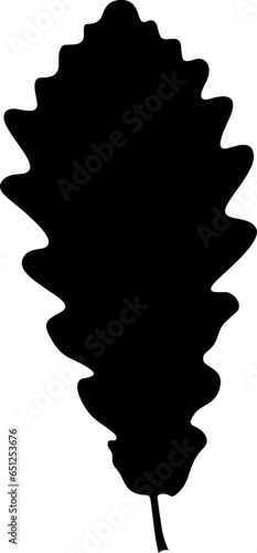 Tree leaf, manually traced and highly detailed vector silhouette