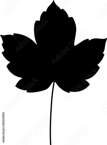 Maple leaf, manually traced and highly detailed vector silhouette
