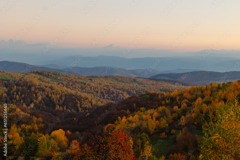 Mountain Dawn: Panoramic Autumn Forest with Blue Sky and Misty Sunrise.