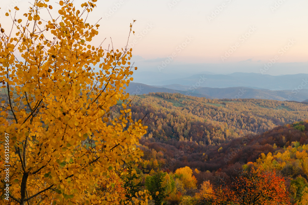 Mountain Sunrise: Panoramic View of Autumn Forest with Blue Sky and Dawn Mist.