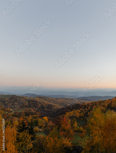 Autumn Splendor: Vertical Panoramic View of Forest with Blue Skies. © KIFOR PRODUCTION