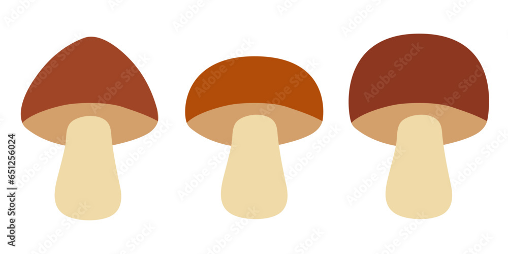 Porcini icon. Vector clipart isolated on white background.