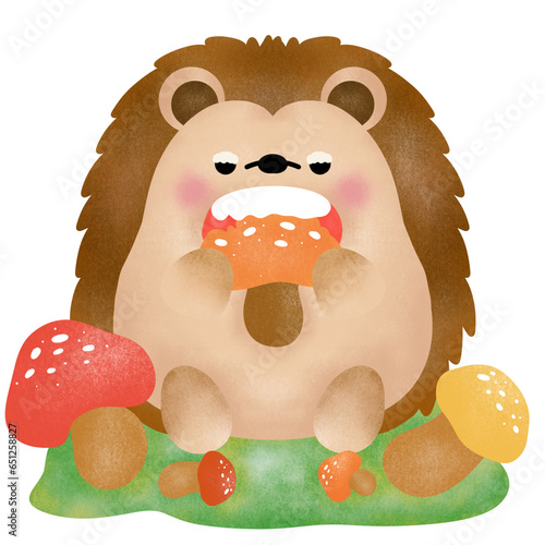 Cute porcupine eat mushroom in the garden 