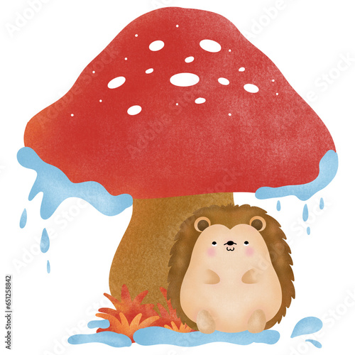 mushroom and porcupine on rainy day