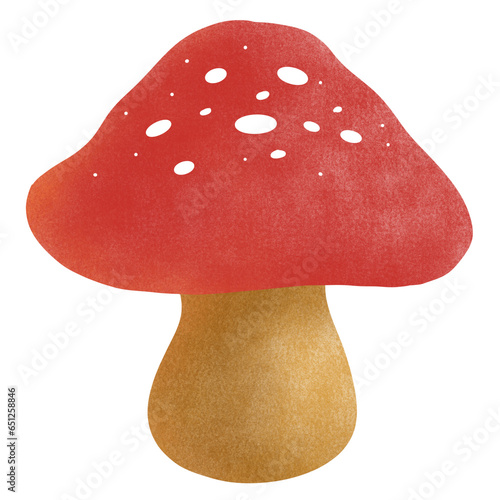 Mushroom 