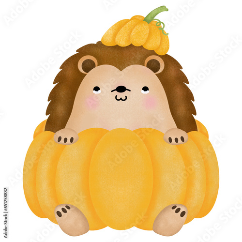 porcupine with pumpkin in autumn,fall season
