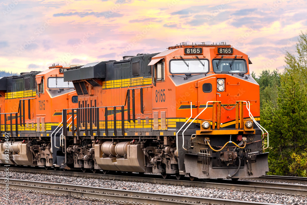 Naklejka premium twin locomotives pulling freight close to Whitefish, Montana