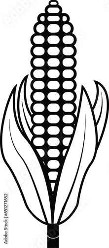 Corn cobs icon Vegetables logo Maize. Thin line art design, Vector outline illustration