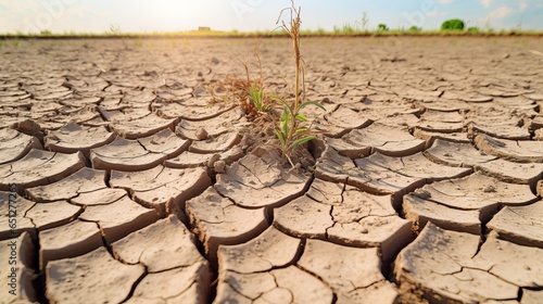 Agricultural field with cracked earth due to extreme heat and drought, representing the concept of crop failure and food-related challenges
