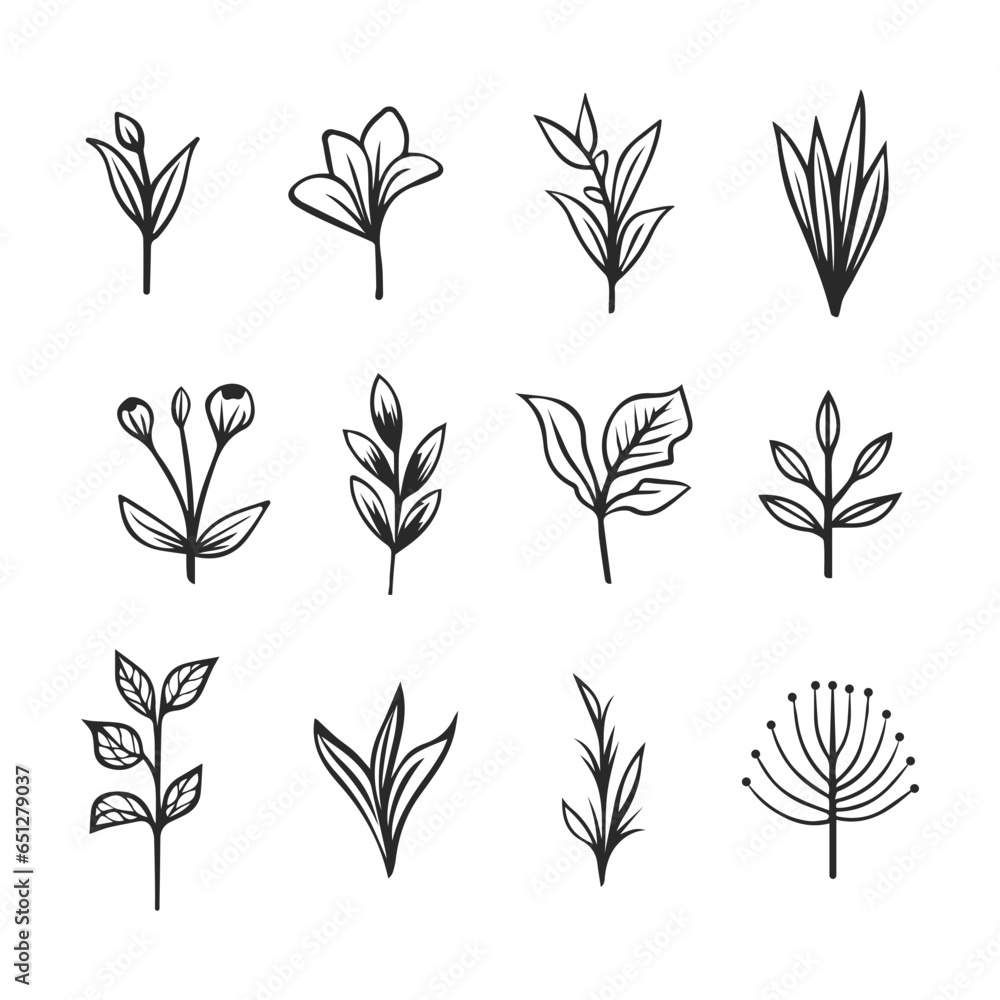 Doodle style vector illustration. Set of simple elements of plants. Doodle style vector illustration. Set of simple elements of plants.