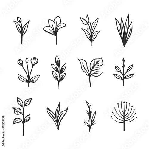 Doodle style vector illustration. Set of simple elements of plants.