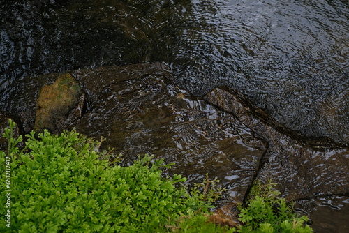 stream nature