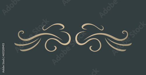 Nice decorative ornament draw