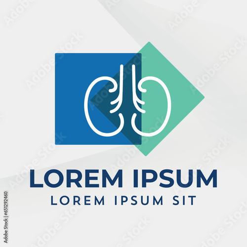 Kidney Urology Care logo designs vector Human Kidneys Nephrology Icon Medical Hospital Clinic 
