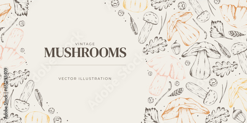 Vector illustration. Sketches of forest plants. Graphic horizontal banner made of porcini, branches, leaves. Mushrooms. For menu design, labels, product packaging