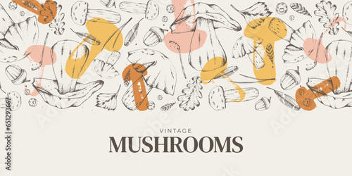 Sketch of forest plants. Mushrooms. Graphic horizontal banner made of porcini, branches, leaves. Vector illustration for menu design, labels, product packaging