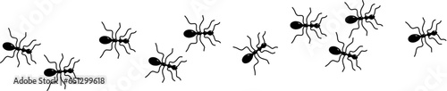 vector ant trail. a line of marching ants
