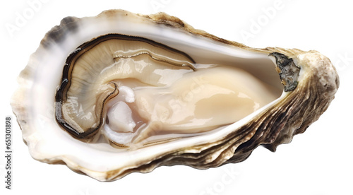 Fresh raw oysters on transparent background. photo