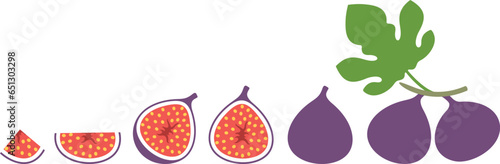 Fig logo. Isolated fig on white background